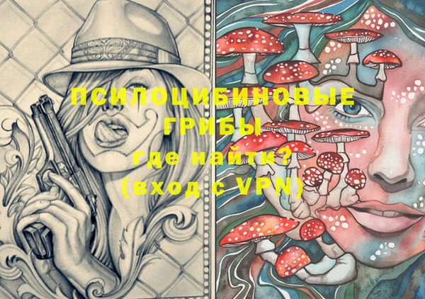 PSILOCYBIN Абдулино