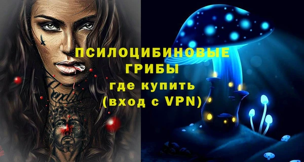 PSILOCYBIN Абинск