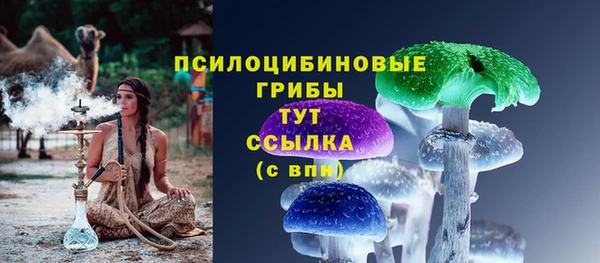 PSILOCYBIN Абдулино