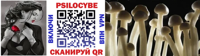 блэк спрут как зайти  Татарск  Псилоцибиновые грибы Cubensis 